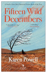 Cover Fifteen Wild Decembers