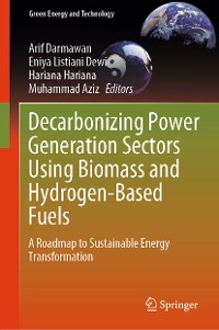 Cover Decarbonizing Power Generation Sectors Using Biomass and Hydrogen-Based Fuels