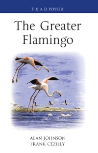 Cover The Greater Flamingo