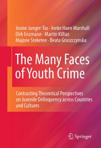 Cover The Many Faces of Youth Crime