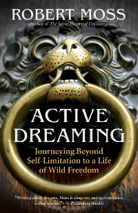 Cover Active Dreaming