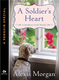 Cover Soldier's Heart