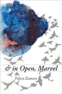 Cover & in Open, Marvel