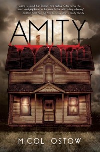 Cover Amity