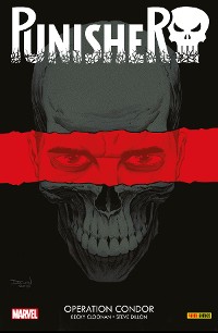 Cover Punisher 1