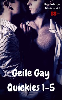 Cover Geile Gay Quickies 1-5