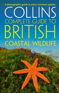 Cover British Coastal Wildlife