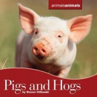 Cover Pigs and Hogs