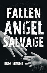 Cover Fallen Angel Salvage