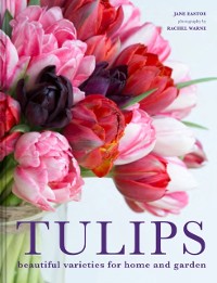 Cover Tulips