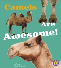 Cover Camels Are Awesome!