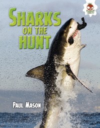 Cover Sharks on the Hunt