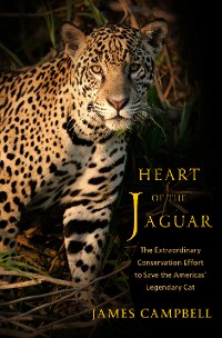 Cover Heart of the Jaguar: The Extraordinary Conservation Effort to Save the Americas' Legendary Cat