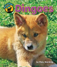 Cover Dingoes
