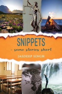 Cover Snippets - some stories short