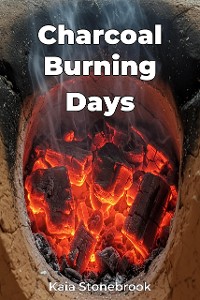 Cover Charcoal Burning Days