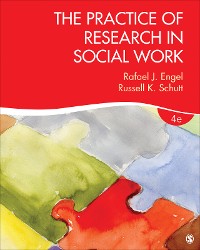 Cover The Practice of Research in Social Work