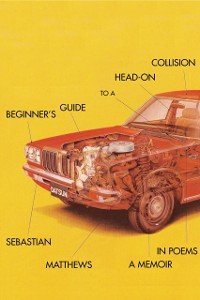 Cover Beginner's Guide to a Head-On Collision
