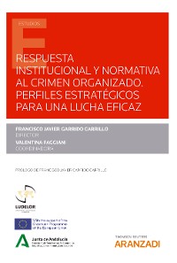 Cover Respuesta institucional y normativa al crimen organizado. Perfiles estratégicos para una lucha eficaz