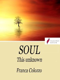 Cover Soul