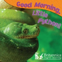 Cover Good Morning, Little Python!