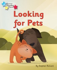 Cover Looking for Pets