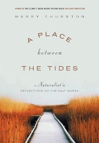 Cover Place Between the Tides
