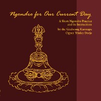 Cover Ngondro for Our Current Day