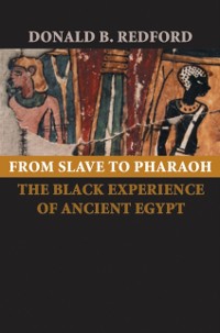 Cover From Slave to Pharaoh