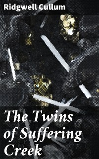 Cover The Twins of Suffering Creek