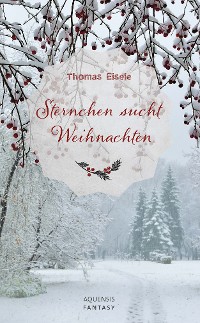 Cover Sternchen sucht Weihnachten