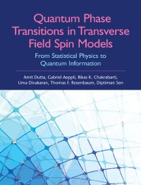 Cover Quantum Phase Transitions in Transverse Field Spin Models
