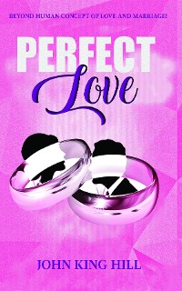 Cover PERFECT LOVE