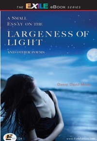 Cover Small Essay on the Largeness of Light and Other Poems