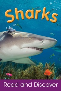 Cover Sharks