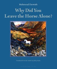 Cover Why Did You Leave the Horse Alone?