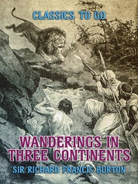 Cover Wanderings in Three Continents