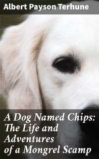 Cover A Dog Named Chips: The Life and Adventures of a Mongrel Scamp