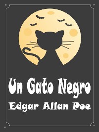 Cover Un Gato Negro