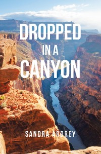 Cover Dropped in a Canyon