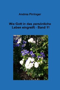 Cover Wie Gott in das persönliche Leben eingreift - Band 11