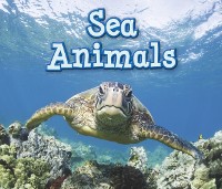 Cover Sea Animals