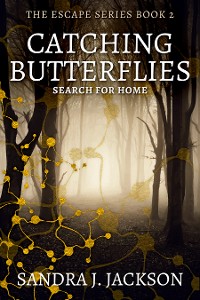 Cover Catching Butterflies