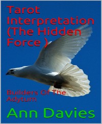 Cover Tarot Interpretation (The Hidden Force )