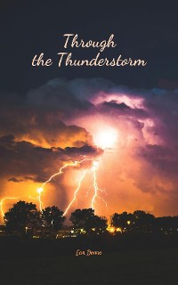 Cover Through the Thunderstorm