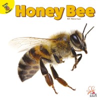 Cover Honey Bee