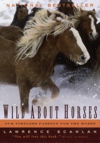 Cover Wild About Horses