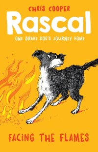 Cover Rascal: Facing the Flames