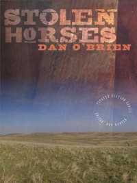 Cover Stolen Horses