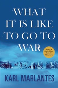 Cover What It Is Like to Go to War